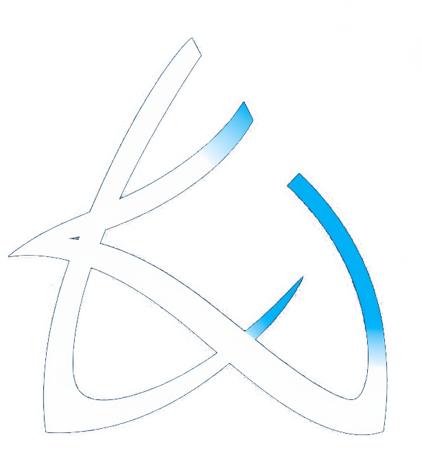 Bitcoin Compass Logo